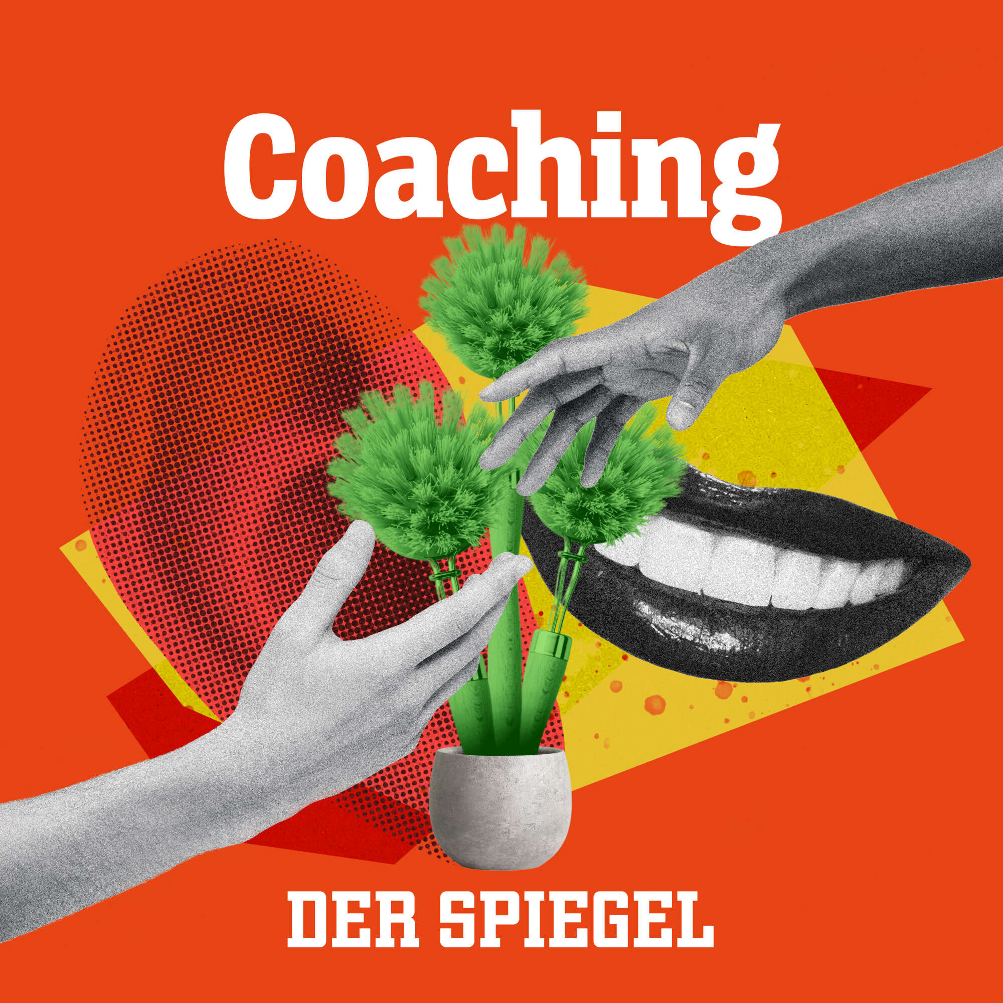 Coaching (SPIEGEL)