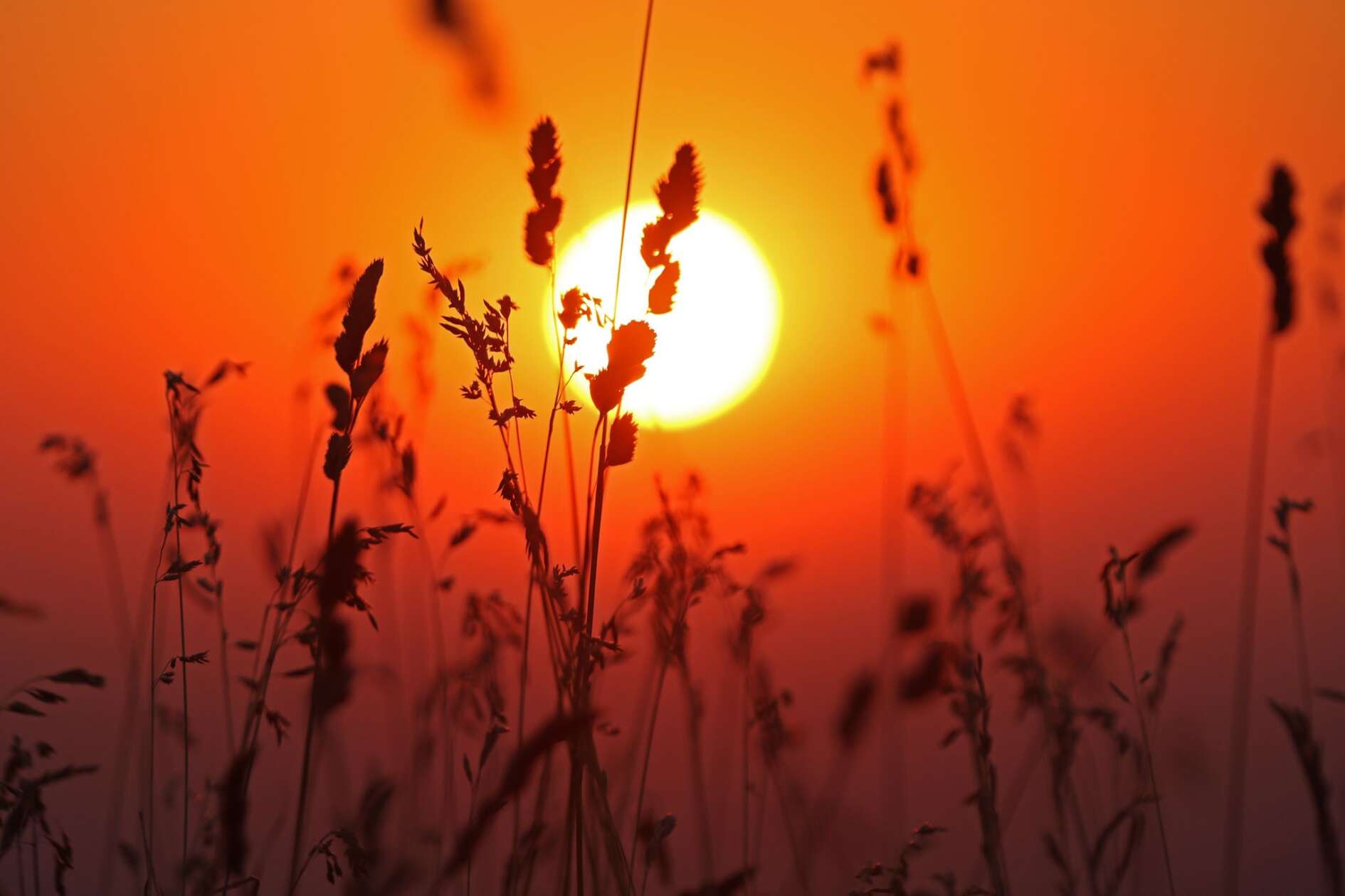 Juli fällt ungewöhnlich warm aus